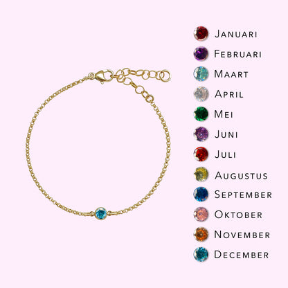 Juweel met sterrenbeeld & geboortesteen